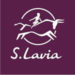 Фабрика сумок "S.Lavia" - вакансии в "Рабочие места"